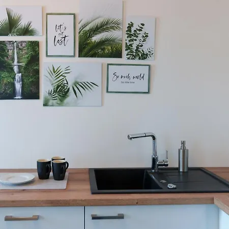 公寓 Casa Benedicta 特里尔