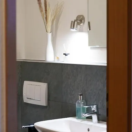 Casa Benedicta شقة ترير