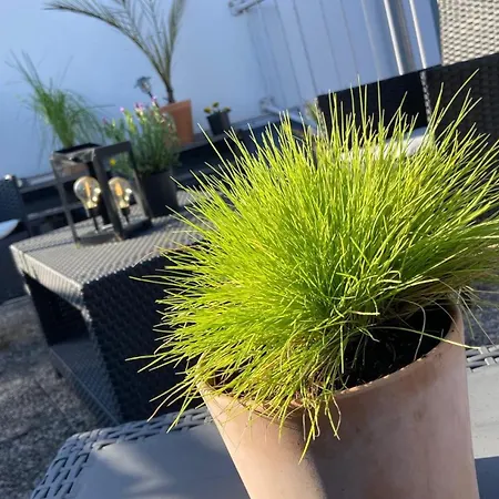 Casa Benedicta Apartment Trier